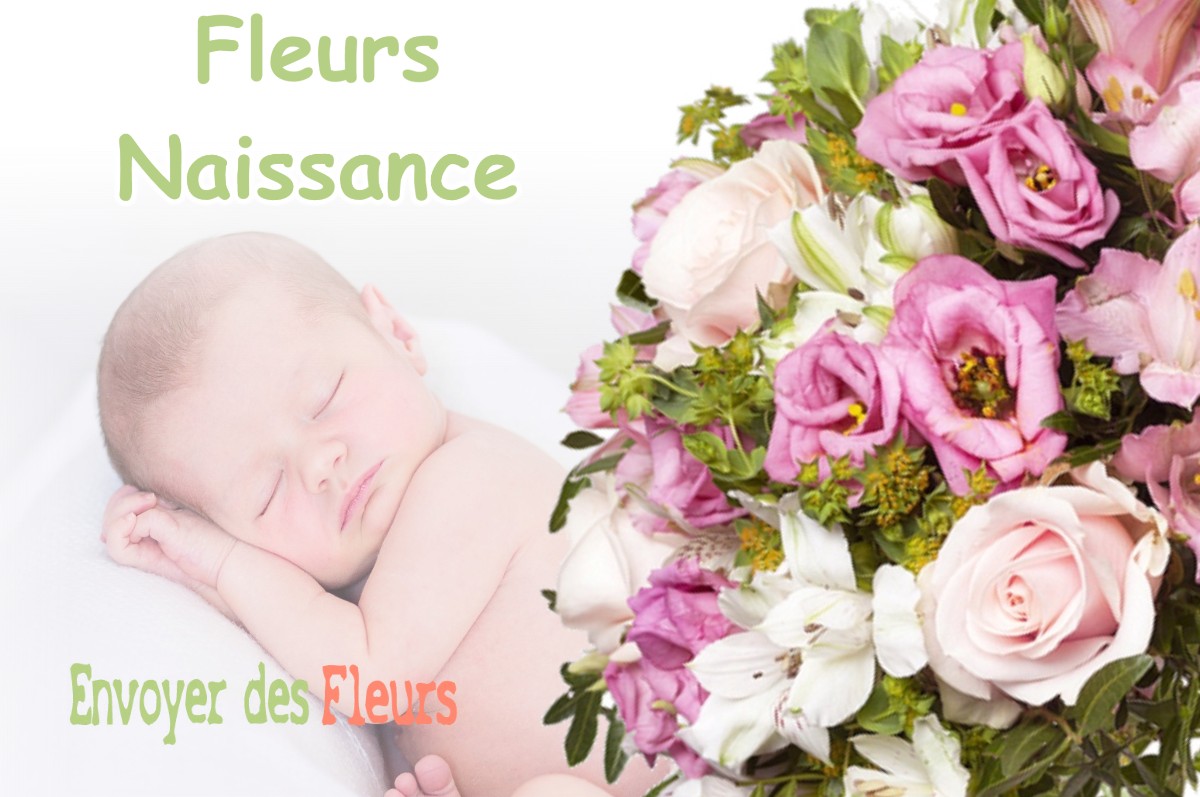 lIVRAISON FLEURS NAISSANCE à SAINT-MARTIN-DE-LA-CLUZE